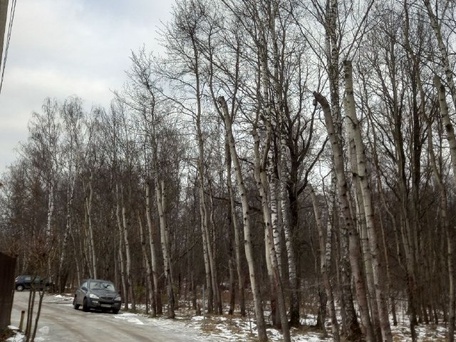 Денежные средства тратятся в режиме самоуправства